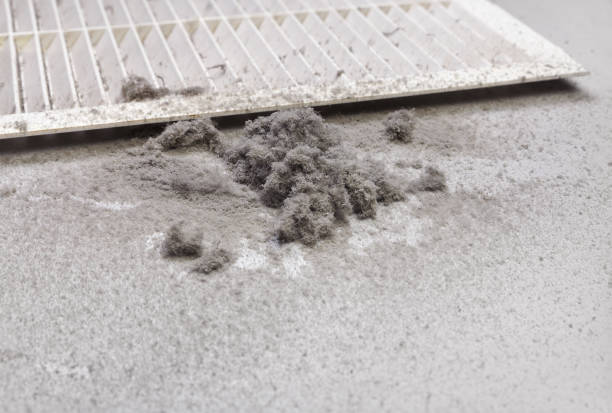 Best Local Air Duct Cleaning Services  in Roosevelt Park, MI