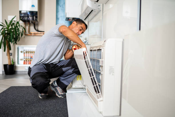 Best Home Air Vent Cleaning  in Roosevelt Park, MI