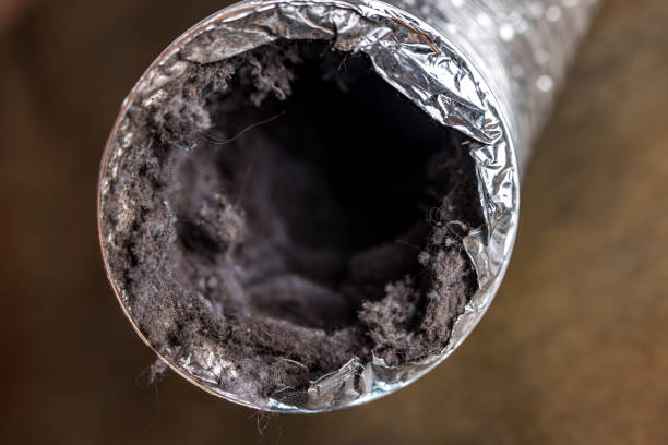 Best Best Air Duct Cleaning Near Me  in Roosevelt Park, MI